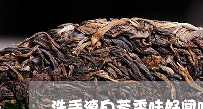 洗手液白茶香味好闻吗/2023100213037