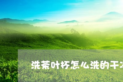 洗茶叶杯怎么洗的干净/2023061173835