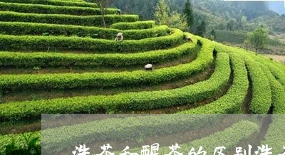 洗茶和醒茶的区别洗茶和醒茶的区别/2023060471716