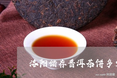 洛阳储存普洱茶饼多少钱/2023050540626