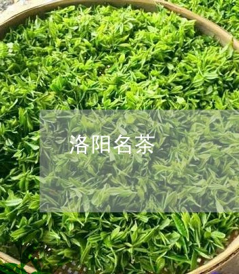 洛阳名茶/2023110993929