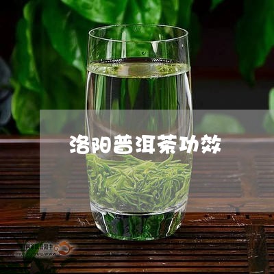 洛阳普洱茶功效/2023110710473