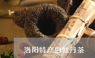 洛阳特产白牡丹茶/2023062251526