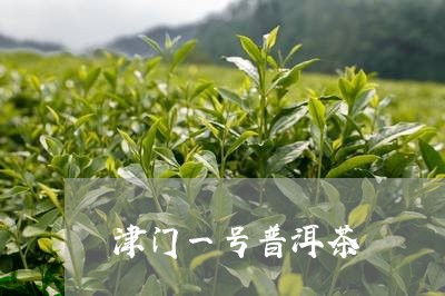 津门一号普洱茶/2023112694848