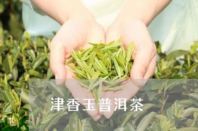 津香玉普洱茶/2023101654848