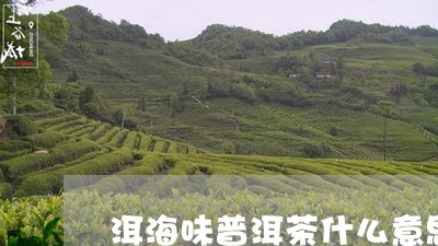 洱海味普洱茶什么意思/2023062372926