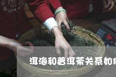 洱海和普洱茶关系如何/2023121757259