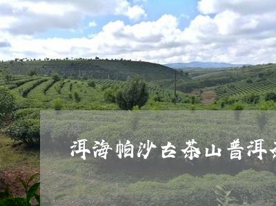 洱海帕沙古茶山普洱茶/2023062384815