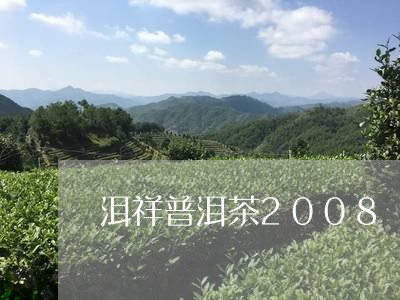 洱祥普洱茶2008/2023071101626