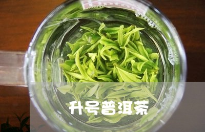 洺升号普洱茶/2023042785992