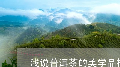 浅说普洱茶的美学品格/2023062503926