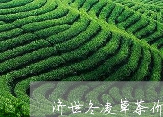 济世冬凌草茶价格图片/2023060908261