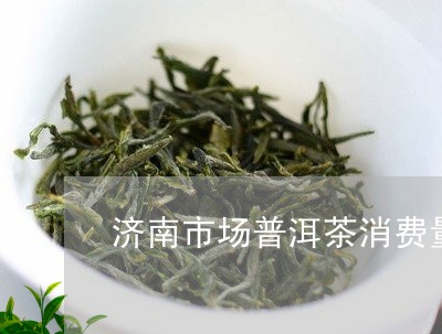济南市场普洱茶消费量/2023121707470