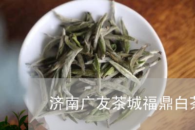 济南广友茶城福鼎白茶/2023091528482