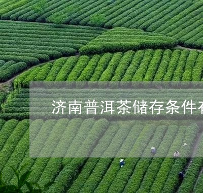 济南普洱茶储存条件有哪些/2023082771602