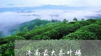 济南最大茶叶场/2023061104136