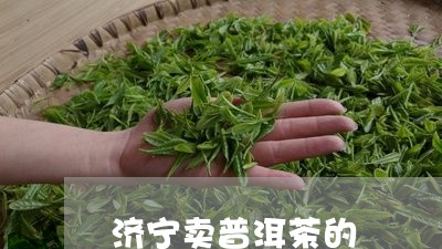 济宁卖普洱茶的/2023120360682