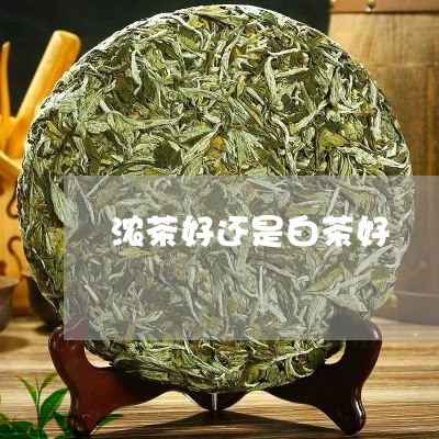 浓茶好还是白茶好/2023062284272