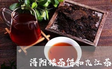 浔阳楼茶饼和九江茶饼/2023071680502