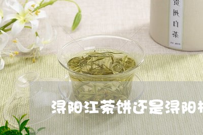 浔阳江茶饼还是浔阳楼茶饼/2023051126160