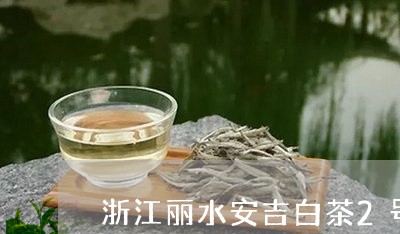 浙江丽水安吉白茶2号/2023092741947