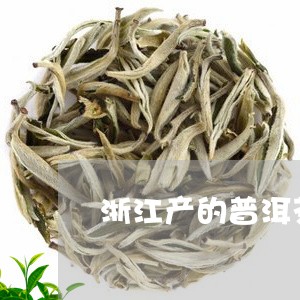 浙江产的普洱茶有哪些牌子/2023112592815