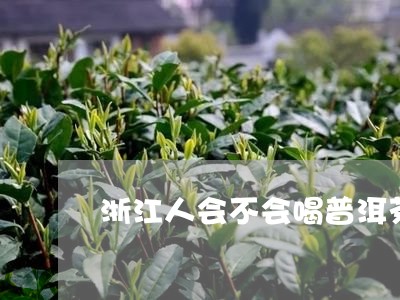 浙江人会不会喝普洱茶呢/2023082743736