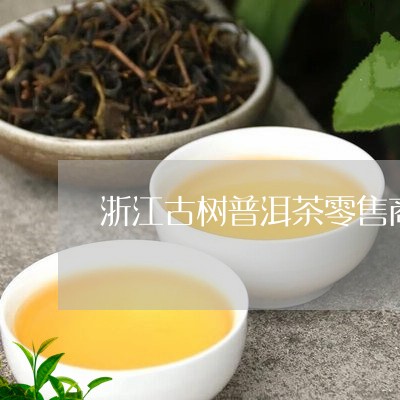 浙江古树普洱茶零售商/2023121739381