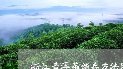 浙江普洱茶储存方法图片/2023081787369