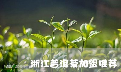 浙江普洱茶加盟推荐/2023042872737