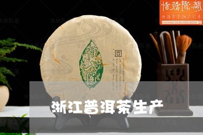 浙江普洱茶生产/2023121759691