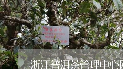 浙江普洱茶管理中心网站/2023110742838