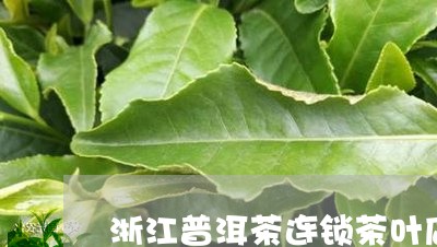 浙江普洱茶连锁茶叶店排名/2023121739573