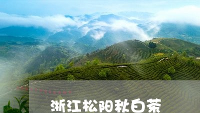 浙江松阳秋白茶/2023060250501