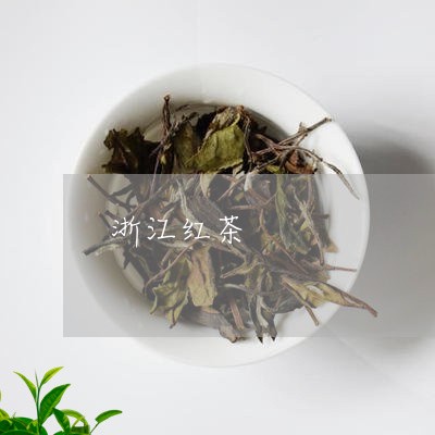 浙江红茶/2023121996279