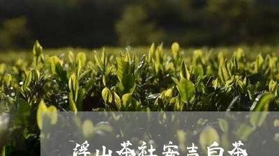 浮山茶社安吉白茶/2023062234059