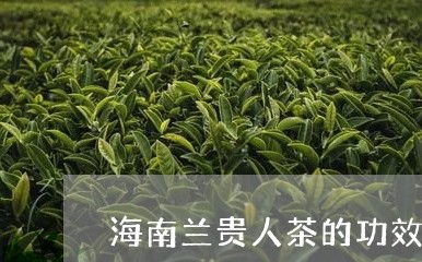海南兰贵人茶的功效与作用/2023051119505