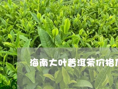 海南大叶普洱茶价格及图片/2023121704716