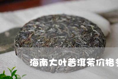 海南大叶普洱茶价格多少/2023083105361