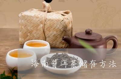 海南普洱茶储存方法/2023121750515