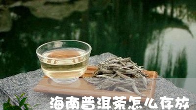 海南普洱茶怎么存放/2023070829602