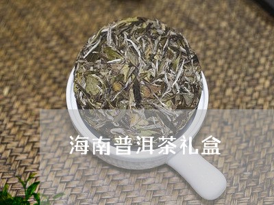 海南普洱茶礼盒/2023110715179