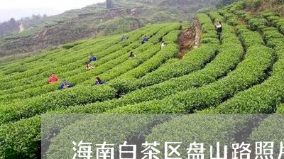 海南白茶区盘山路照片/2023100272582