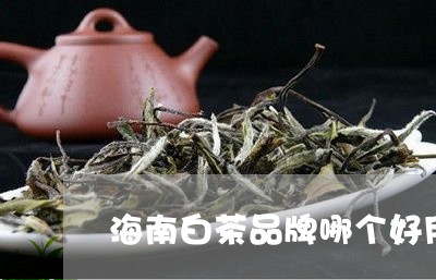 海南白茶品牌哪个好用/2023100221515