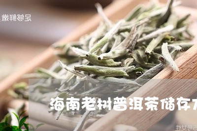 海南老树普洱茶储存方法/2023121727361