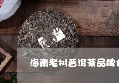 海南老树普洱茶品牌介绍/2023081660594