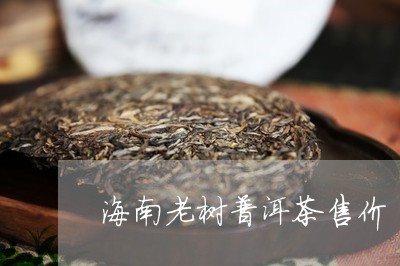 海南老树普洱茶售价/2023121755459