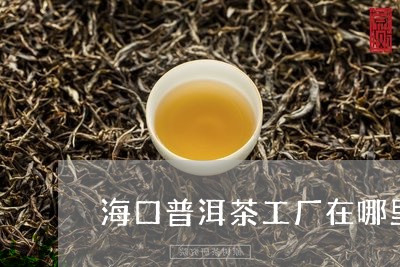 海口普洱茶工厂在哪里/2023100518382