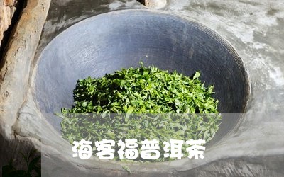 海客福普洱茶/2023042863500