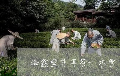 海鑫堂普洱茶-木雪/2023092832616